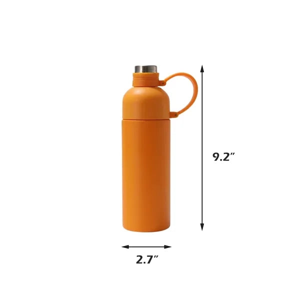 17oz Double - Walled Tumbler with Handle and Straw