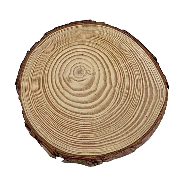 Natural Pine Wood Coasters for Household Kitchen