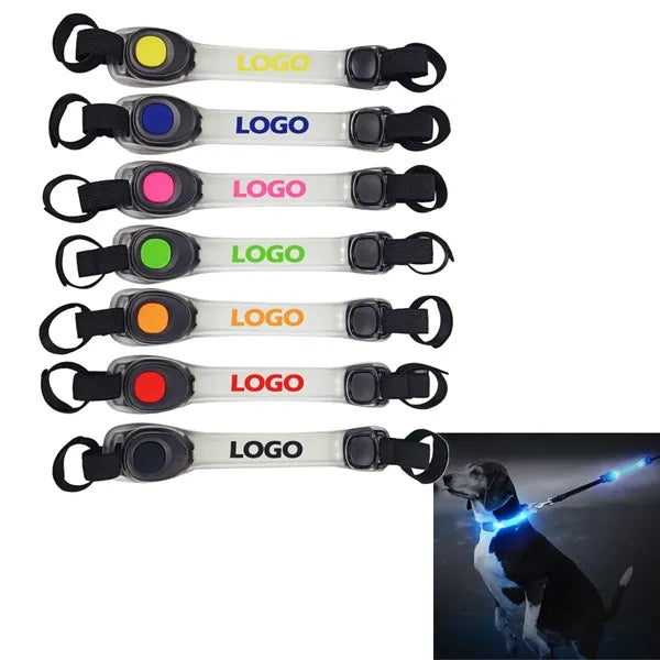LED Pet Lights for Collars and Leashes
