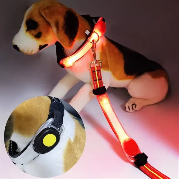 LED Pet Lights for Collars and Leashes