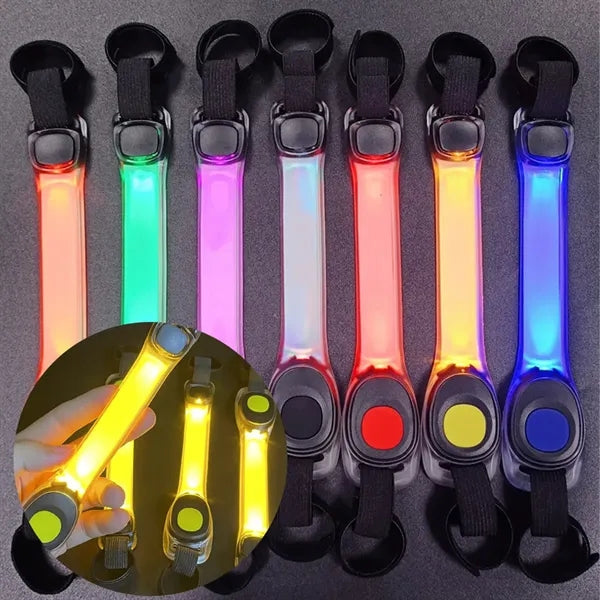 LED Pet Lights for Collars and Leashes