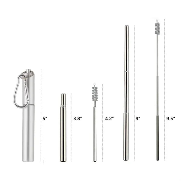 Collapsible Stainless Steel Straw Set