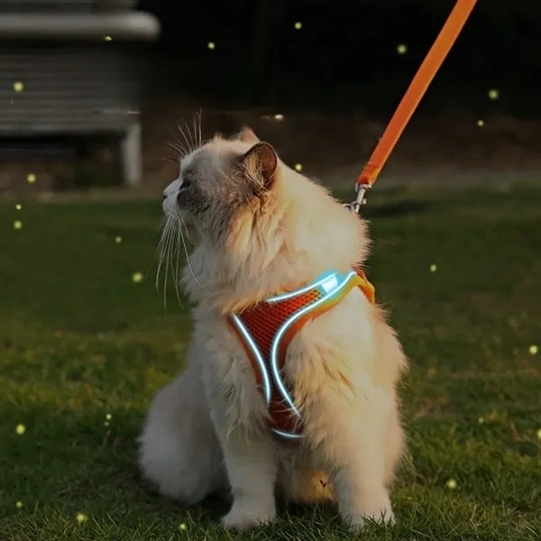 Breathable Secure Pet Harness and Leash Set