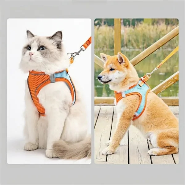 Breathable Secure Pet Harness and Leash Set