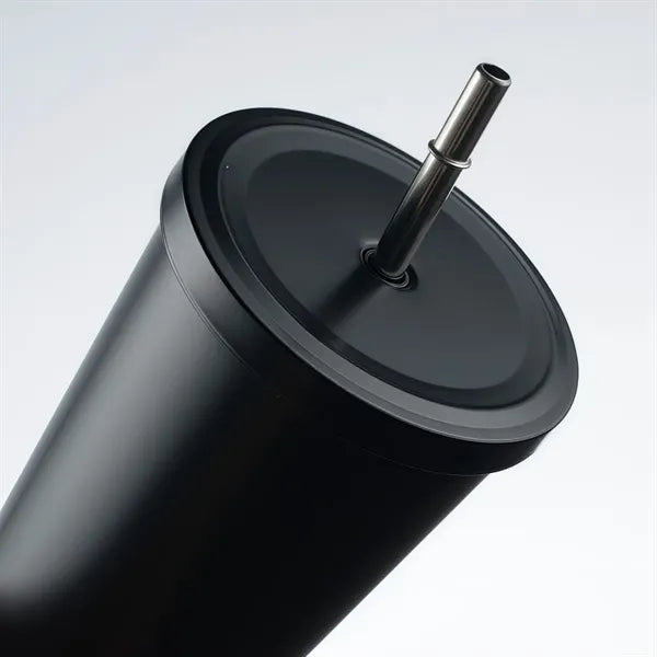 25 oz Stainless Steel Tumbler with Lid and Straw