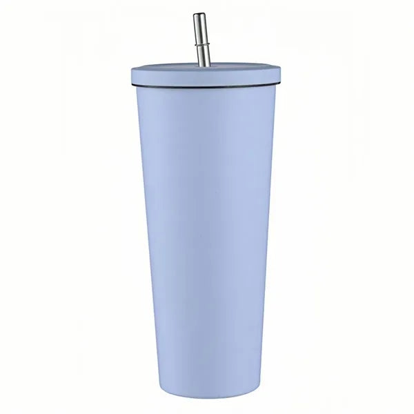 25 oz Stainless Steel Tumbler with Lid and Straw
