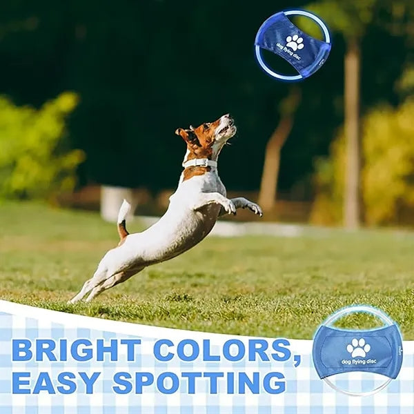 LED Pet Luminous Training Frisbee