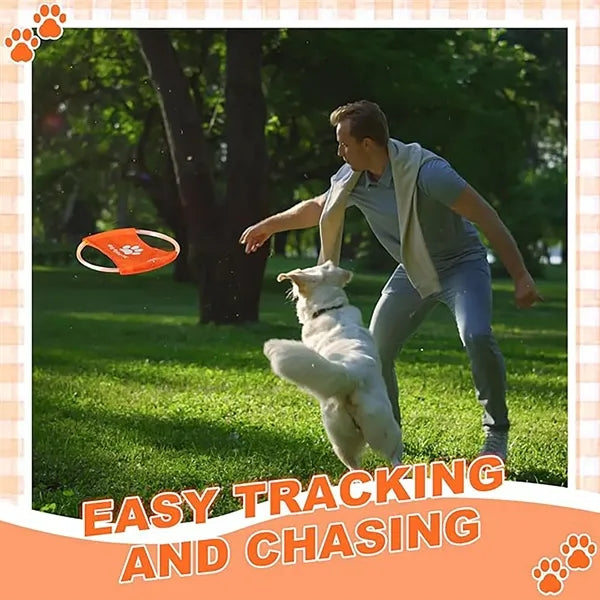 LED Pet Luminous Training Frisbee