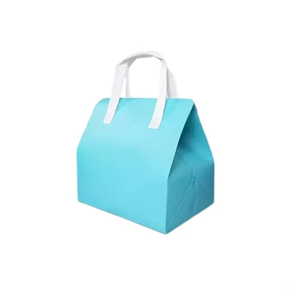 Insulated Takeout Bag Foil Lined