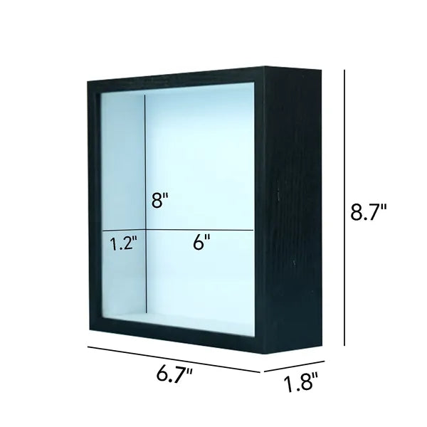 Shadow Box Specimen Frame Display Case