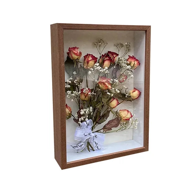 Shadow Box Specimen Frame Display Case
