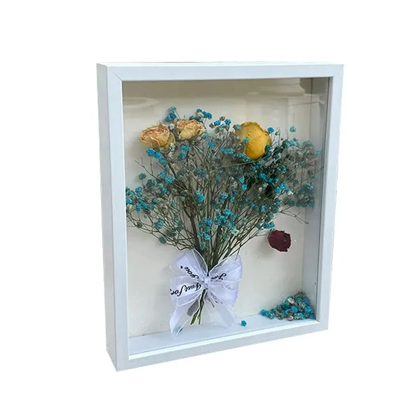 Shadow Box Specimen Frame Display Case