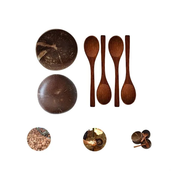 Organic Coconut Shell Bowls