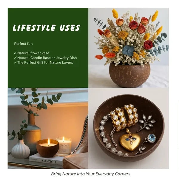 Organic Coconut Shell Bowls
