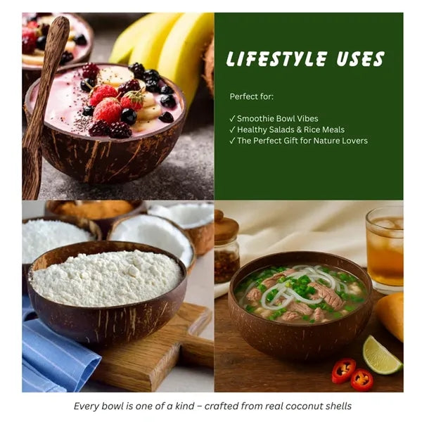 Organic Coconut Shell Bowls