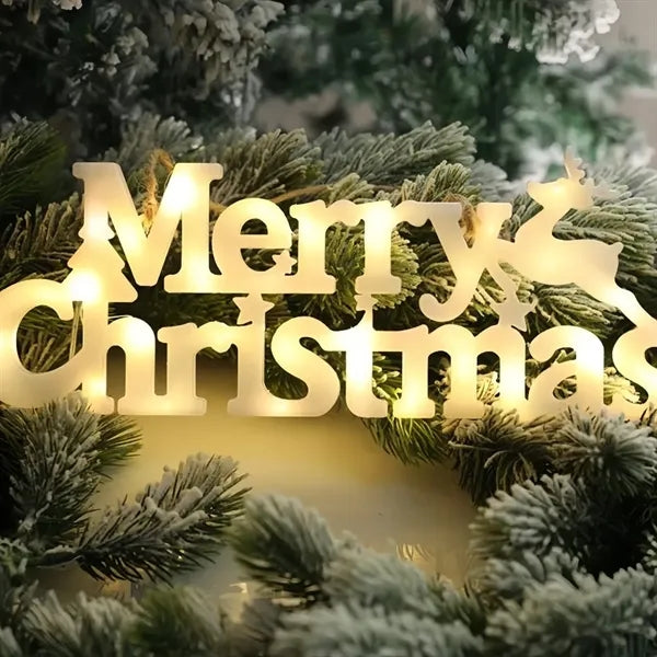 Decorative LED Holiday Letter Light Display