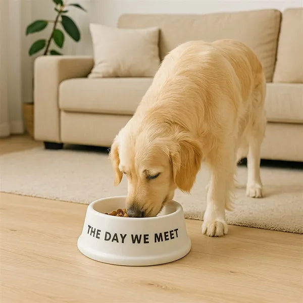 Eco-Friendly Bamboo Fiber Pet Bowl