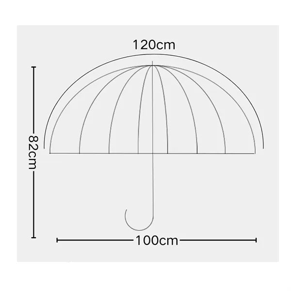 Clear Umbrella with White Trim for Rainy Day Use