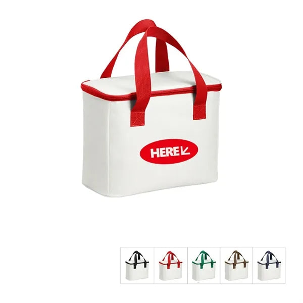 Outdoor Portable Insulated Picnic Bag