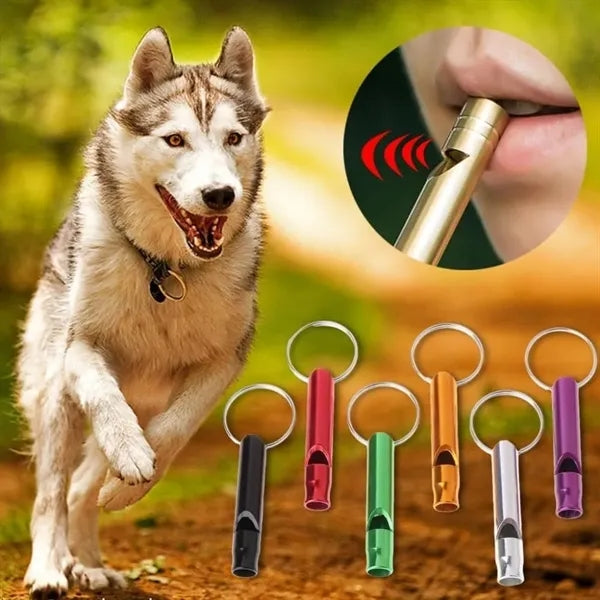 Emergency Whistle Keychain
