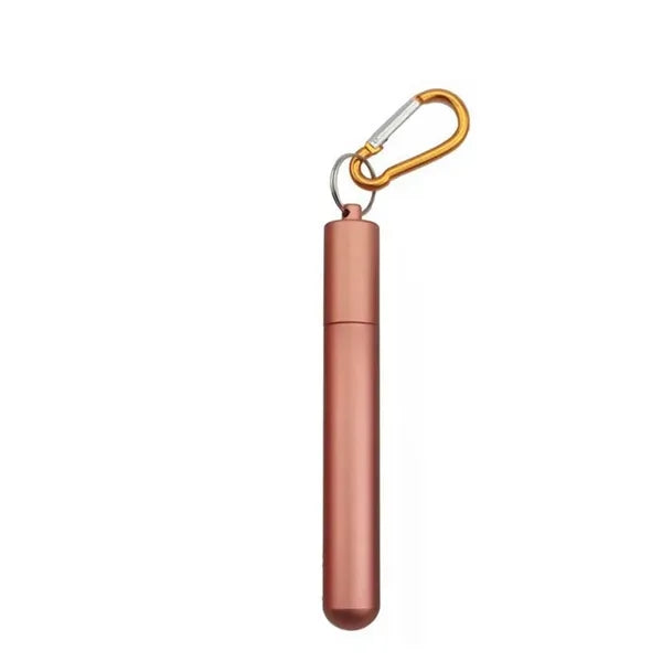 Collapsible Straw Set With Carabiner