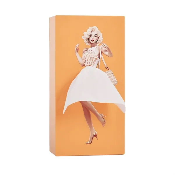 Cartoon Anime Girl Tissue Box