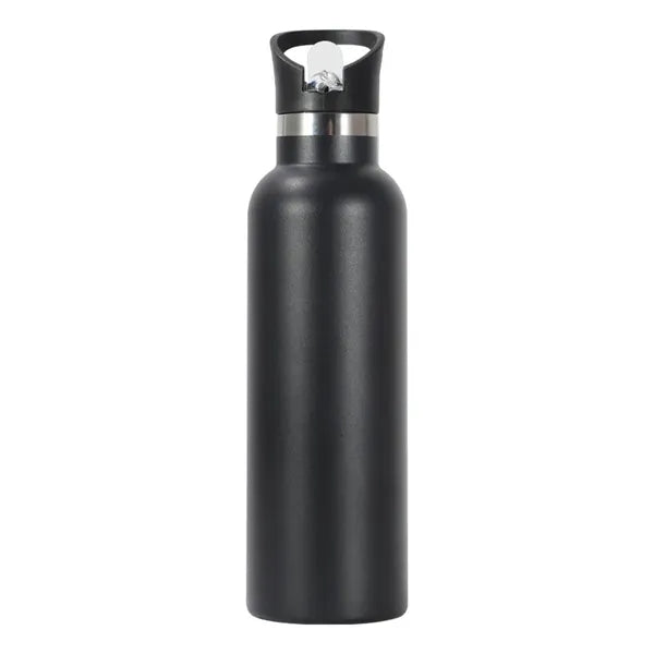 20 Oz. Stainless Steel Insulated Water Bottle