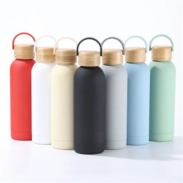 Frosted Insulated Stainless Steel Water Bottle w/ Handle