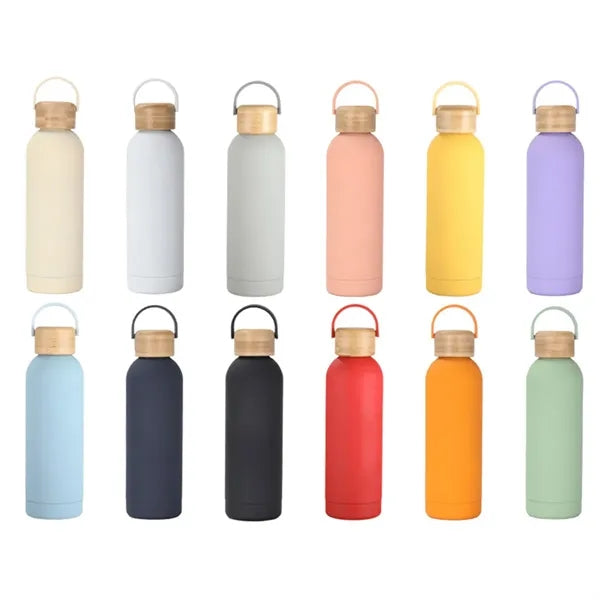 Frosted Insulated Stainless Steel Water Bottle w/ Handle