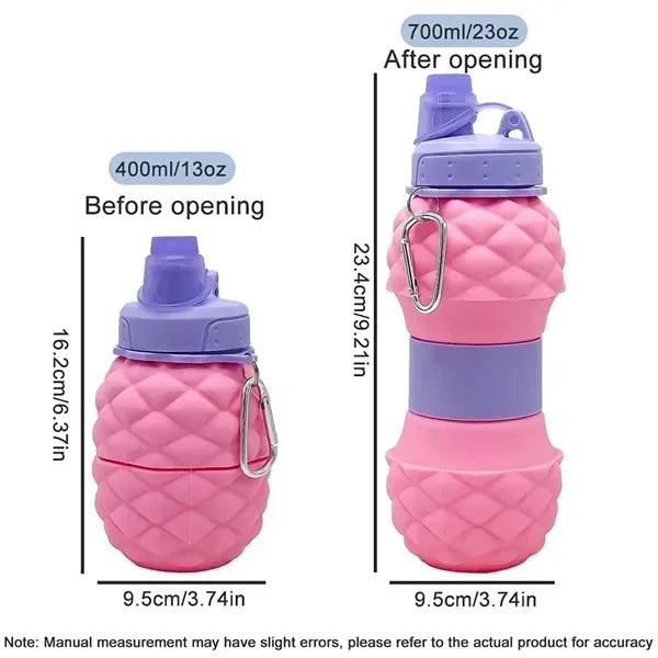 Fruit Collapsible Portable Foldable Travel Water Bottle