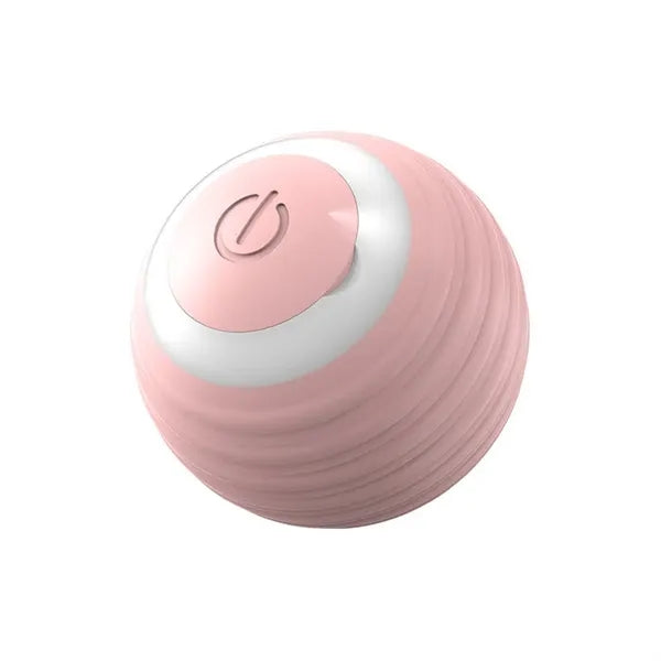 Silicone Interactive Pet Ball Toy