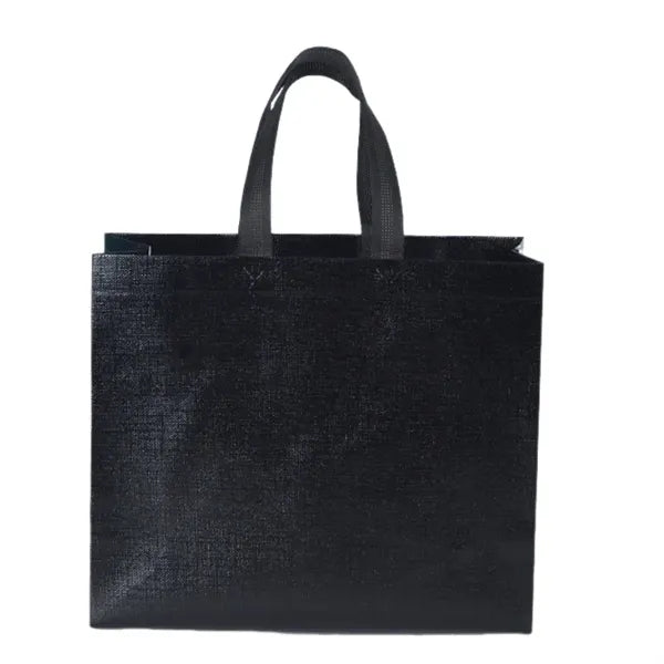 Non-Woven Gift Bag