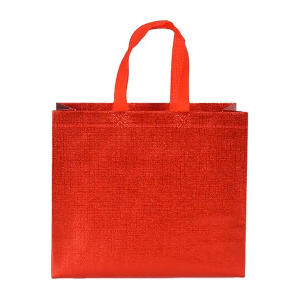Non-Woven Gift Bag