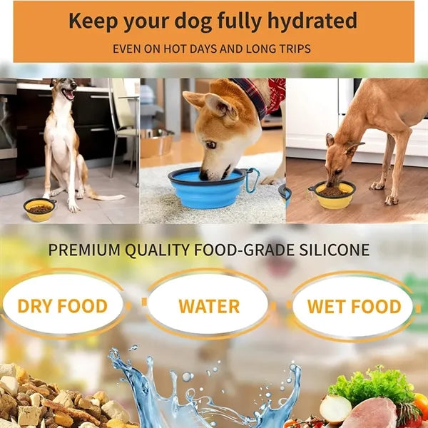 Collapsible Dog Bowls