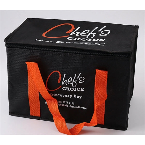 Logo Nylon 6-Pack Insulated Zippered Cooler Bag