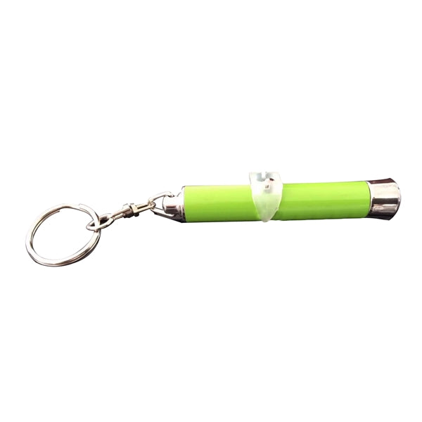 Logo Projector Keychain