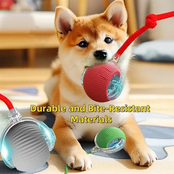 Rechargeable Pet Smart Chase Ball