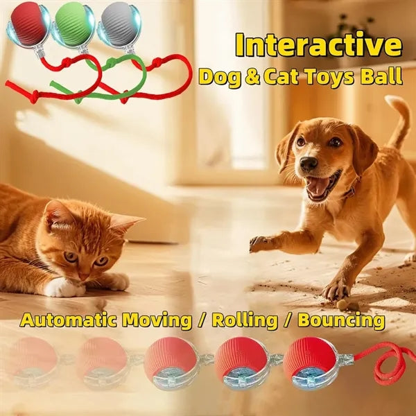 Rechargeable Pet Smart Chase Ball