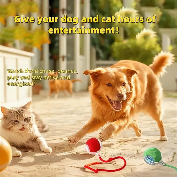 Rechargeable Pet Smart Chase Ball
