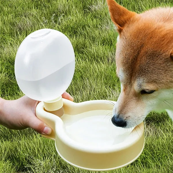 Portable Pet Water Dispenser