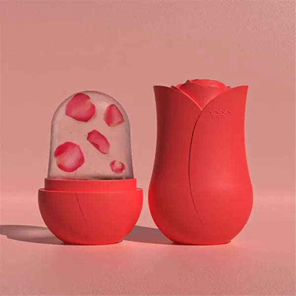 Facial Beauty Tool Silicone Ice Mold