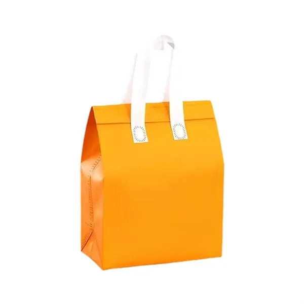 Insulated Lunch Tote Bag