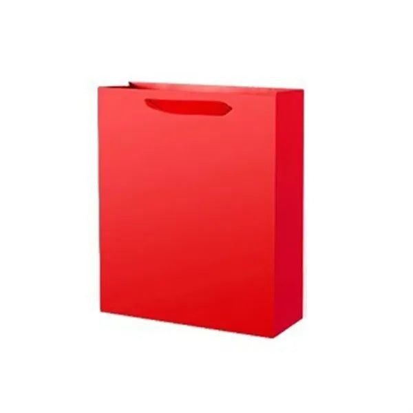 Eco Paper Gift Bag