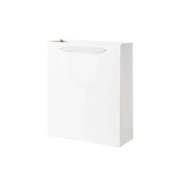Eco Paper Gift Bag