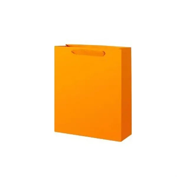 Eco Paper Gift Bag