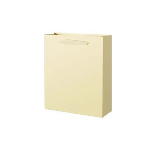 Eco Paper Gift Bag