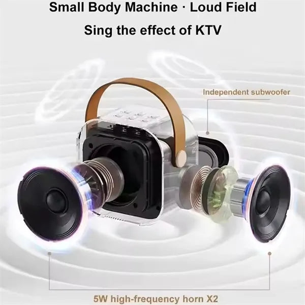 Mini Karaoke Machine With 2 Wireless Microphones