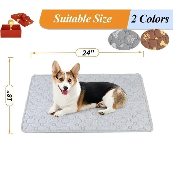 Washable Pee Pads for Dogs