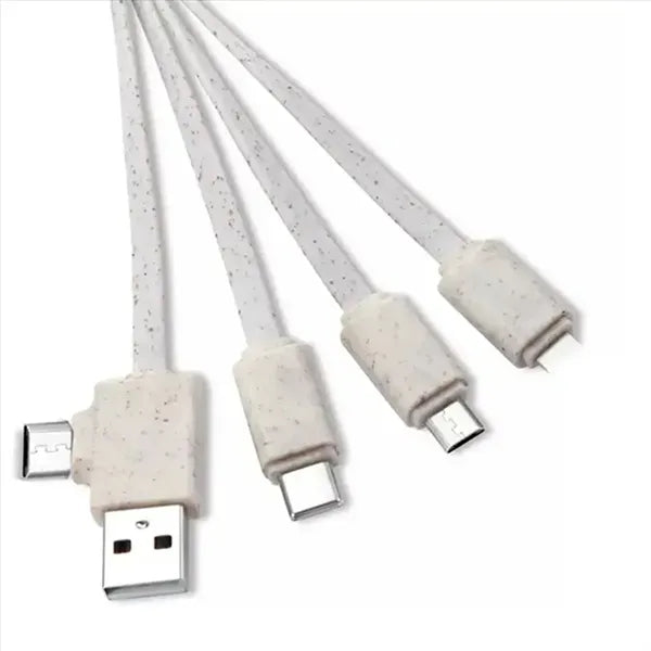 4 in 1 Multi-Charging Cable
