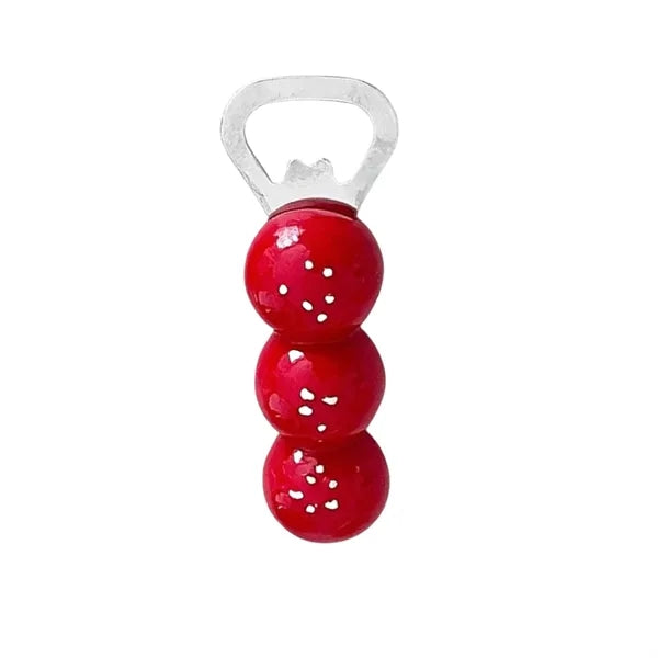 Magnetic Beer Bottle Opener Decor